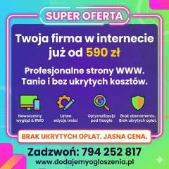 Własna strona WWW od 590 zł - profesjonalnie i bez przepłacania