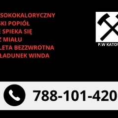 Polski Węgiel Groszek Certyfikowany PIAST (WOLA) 26-28 MJ - BEZPŁATNA DOSTAWA